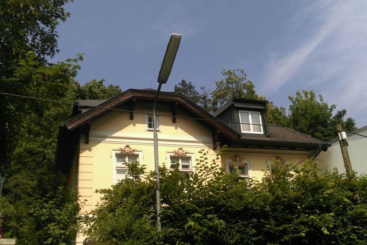 Ruhige, Grosse Ferienwohnung Am Muehlberg, Stadtrand Viena Exterior foto